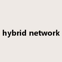 hybrid network是什么意思