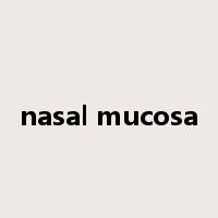 nasal mucosa是什么意思