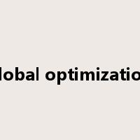 global optimization是什么意思