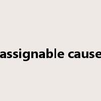 assignable cause是什么意思