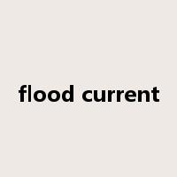 flood current是什么意思