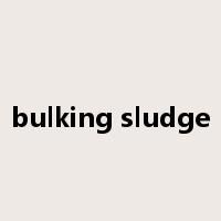 bulking sludge是什么意思
