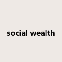 social wealth是什么意思