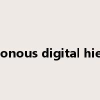 synchronous digital hierarchy是什么意思