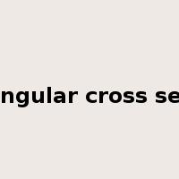 rectangular cross section是什么意思