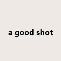 a good shot是什么意思