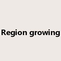 Region growing是什么意思