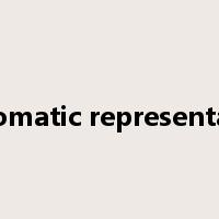 diplomatic representative是什么意思