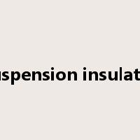 suspension insulator是什么意思