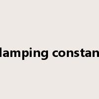 damping constant是什么意思