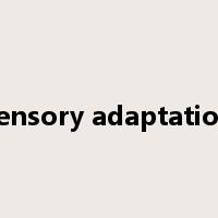 sensory adaptation是什么意思