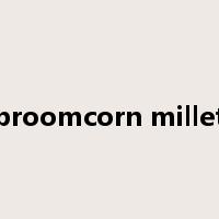 broomcorn millet是什么意思