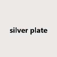 silver plate是什么意思