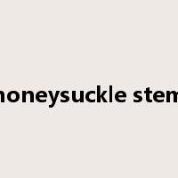 honeysuckle stem是什么意思