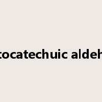 protocatechuic aldehyde是什么意思