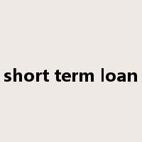 short term loan是什么意思