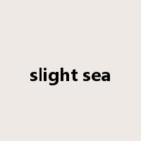 slight sea是什么意思