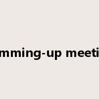 summing-up meeting是什么意思