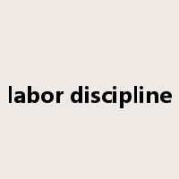 labor discipline是什么意思