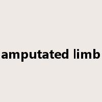 amputated limb是什么意思