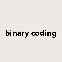 binary coding是什么意思