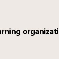 learning organization是什么意思