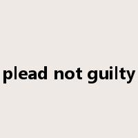 plead not guilty是什么意思