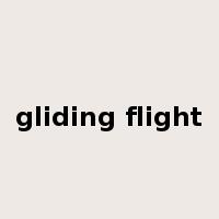 gliding flight是什么意思