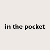 in the pocket是什么意思