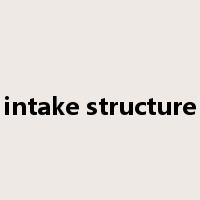 intake structure是什么意思