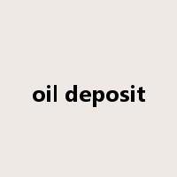oil deposit是什么意思