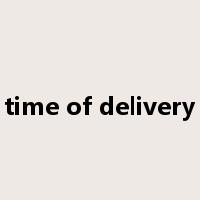 time of delivery是什么意思
