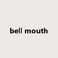 bell mouth是什么意思