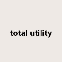 total utility是什么意思