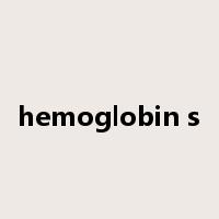 hemoglobin s是什么意思