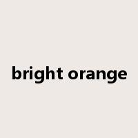 bright orange是什么意思