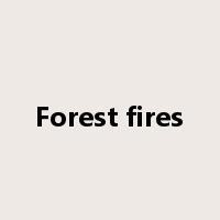 Forest fires是什么意思