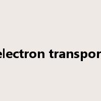 electron transport是什么意思