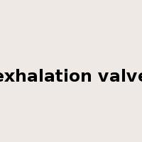 exhalation valve是什么意思