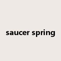 saucer spring是什么意思