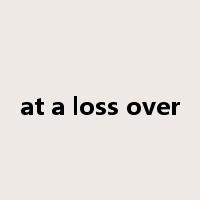 at a loss over是什么意思