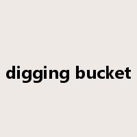 digging bucket是什么意思