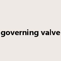 governing valve是什么意思