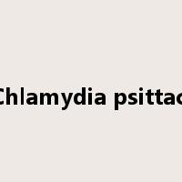 Chlamydia psittaci是什么意思
