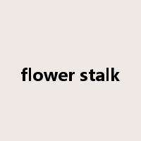 flower stalk是什么意思