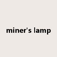 miner's lamp是什么意思
