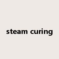 steam curing是什么意思
