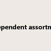 independent assortment是什么意思
