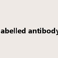 labelled antibody是什么意思