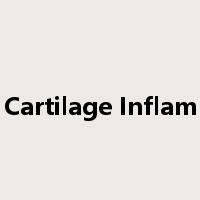 Ribs & Cartilage Inflammation是什么意思
